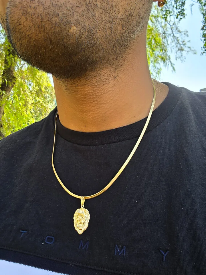 Dije Silueta Leon Oro Laminado 18k